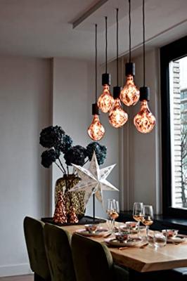Lichtbron Organic Evo Zilver E27