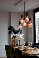 Lichtbron Organic Evo Zilver E27 - thumbnail