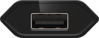 USB-A-adapter - USB-A-lader - 1 poorts - Slim - 1000mA - Zwart - thumbnail