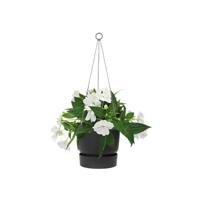 Elho Hangschaal Greenville Ø24cm - Black - thumbnail