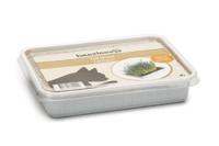 Kattengras in plastic box - thumbnail