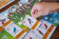 Wingspan Asia - thumbnail