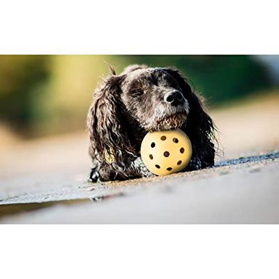 Trixie rubber gatenbal met bel blind/slechtziend hondenspeelgoed