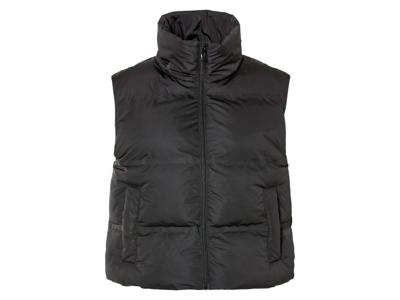 esmara Dames bodywarmer (Zwart, L (44/46))