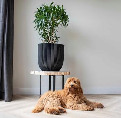 Capi nature groove nl bol bloempot 43x41 cm zwart goud - thumbnail
