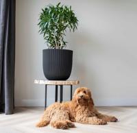 Capi nature groove nl bol bloempot 43x41 cm zwart - thumbnail