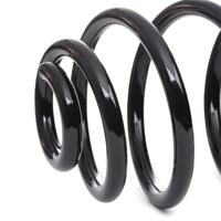 Chassisveer RH6398 - thumbnail