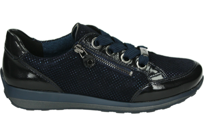 Ara 1244587 - alle Ara 1244587 - alle