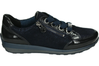 Ara 1244587 - alle - thumbnail