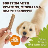 Soopa Dental Sticks met pompoen & wortel hondensnack Per 5 - thumbnail