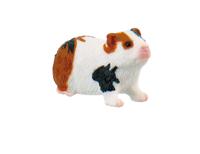 Bullyland Cavia (64613) - thumbnail