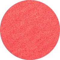 PFERD TOOLS CD 50 CO-COOL 36 42756503 Schuurblad Korrelgrootte (num) 36 (Ø) 50 mm 100 stuk(s) - thumbnail