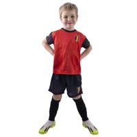 Budget Voetbal Tenue Belgie Kind - thumbnail