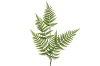 Varen Tien groen - thumbnail