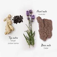 Mauboussin In Red For Him 100 ml Eau de Parfum - thumbnail