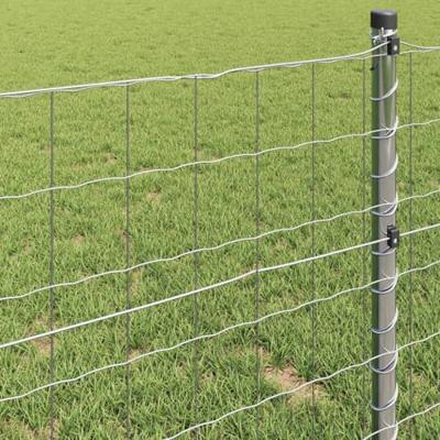 Euro Hek Zilver 1.5 x 10 m Warmverzinkt ijzer