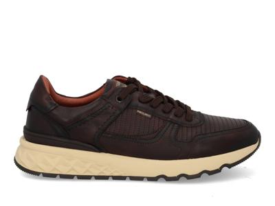 Pikolinos Aranda 6239 olmo Bruin maat 42 Pikolinos Aranda 6239 olmo Bruin maat 42