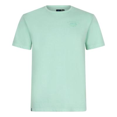 Oversized T-Shirt Rllx Fresh Mint