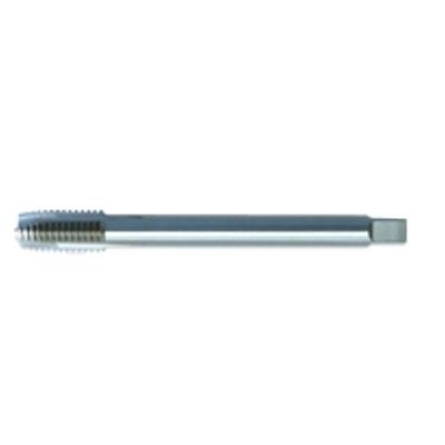 Alarm Werkzeuge 56080472 Machinetapboor 1 stuk(s)