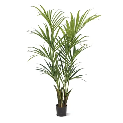 Kentia Kunstpalm Deluxe 165 cm - Kunstplant
