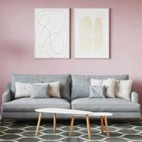 VidaXL Muurverf roze 2,5 l wandprint - thumbnail