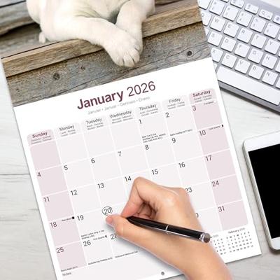 Yellow Labrador Puppies Calendar 2026 Square Dog Puppy Breed Wall Calendar - 16 Month