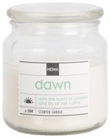 HEMA Geurkaars in glazen pot Ø9.5 blossom (transparant) - thumbnail