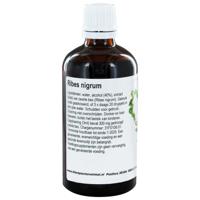 Ribes nigrum - thumbnail