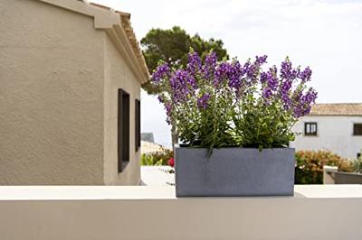 Pottery Pots balkonbak grijs 50x20x20 cm Pottery Pots balkonbak grijs 50x20x20 cm