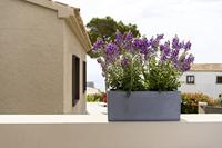 Pottery Pots balkonbak grijs 50x20x20 cm - thumbnail