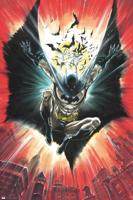 Poster Batman - Warner 100th 61x91,5cm - thumbnail