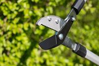 Meister Takkenschaar Amboss 2C - WU9769600 - thumbnail