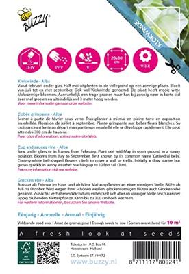 Zaden Flowering Climbers Cobaea Alba Wit Buzzy - Buzzy