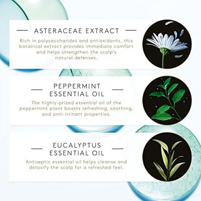 Rene Furterer Astera Fresh Soothing Freshness Shampoo 500ml