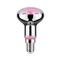 Paulmann LED-plantenlamp groei 230 V E14 4 W Barnsteen 1 stuk(s) - thumbnail