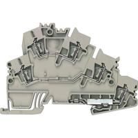 Weidmüller 1938330000 Klem 2-etages Spanveer Bruin, Donkerbeige 50 stuk(s) - thumbnail