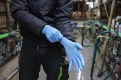 Melkershandschoen 5,5 mil maat XXL 10,5-11 Melkershandschoen 5,5 mil maat XXL 10,5-11