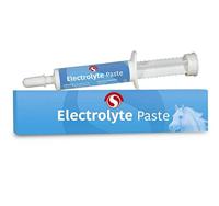 Sectolin Electrolyte Pasta - thumbnail