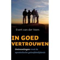 In goed vertrouwen (Paperback) - thumbnail