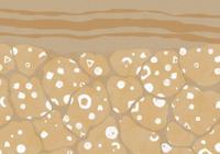 Noordwand Komar Ink Fotobehang Subsoil - INX8-025 - thumbnail
