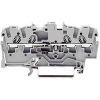 WAGO 2002-1421/1000-434 LED-klem 5.20 mm Spanveer Toewijzing: L Grijs 1 stuk(s) - thumbnail