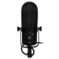 Golden Age Audio R1A Premier ribbon microfoon - thumbnail