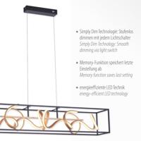 Paul Neuhaus Zwart gouden hanglampSelina - 2416-18 - thumbnail