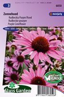 Rudbeckia purper/rood bloemzaden – Zonnehoed - thumbnail
