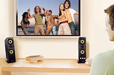 Creative GIGAWORKS T40 II 2.0 PC-luidsprekers Kabelgebonden 32 W Zwart Creative GIGAWORKS T40 II 2.0 PC-luidsprekers Kabelgebonden 32 W Zwart