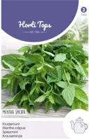 Zaden Kruizemunt Hortitops - Hortitops - thumbnail
