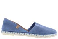 Verbenas Carmen iris lichtblauw  - thumbnail