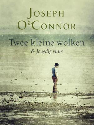 Twee kleine wolken en Jeugdig vuur - Joseph O'Connor - ebook
