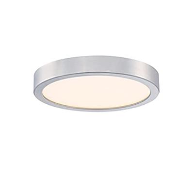 Westinghouse 6119840 - Nikkel Plafondlamp 21 Cm.