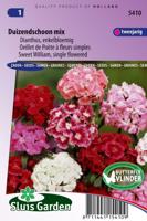 Dianthus Barbatus zaden Duizendschoon Enkel - thumbnail
